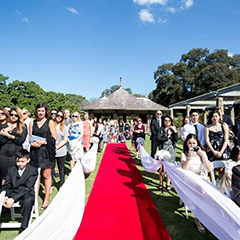 Aisle Runners