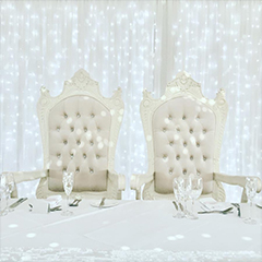 Ivory Throne Chair