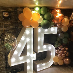LED Numbers