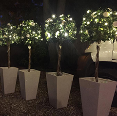 Table Decor and Trees